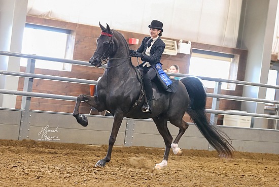 Iowa Arabian Spring Show 