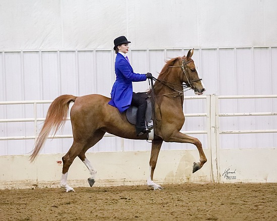 IASA Spring Tune Up Show, April 2024 