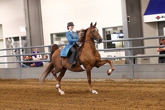 Mid-States Horse and Pony Show 2024