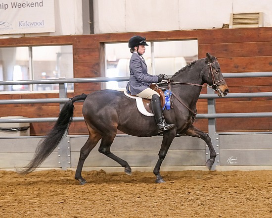 IASA Spring Tune Up Show, March 2024