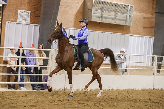 IASA Spring Tune Up