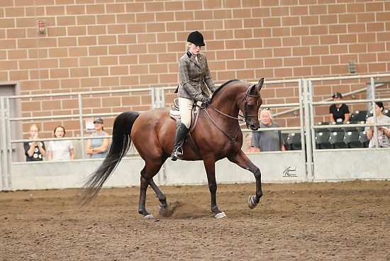 Iowa Fall Society Horse Extravaganza AVS