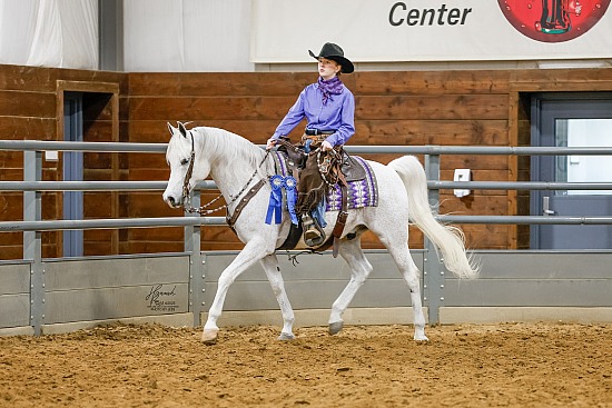 Iowa Arabian Spring Show & Gold Star Futurity