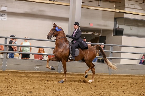Mid-States Horse & Pony Show 