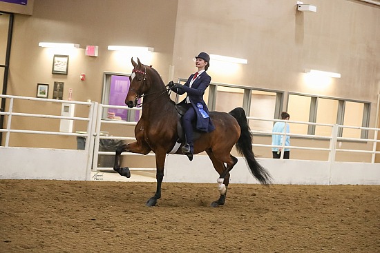 IASA Spring Tune Up