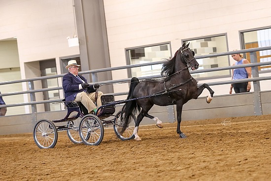 Mid-States Horse & Pony Show